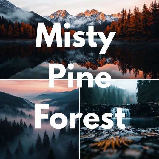 Misty Pine Forest Video Pack