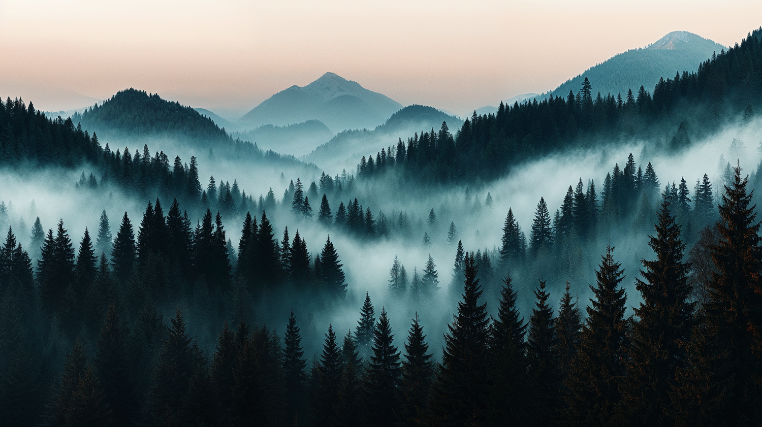 Nature & Landscapes