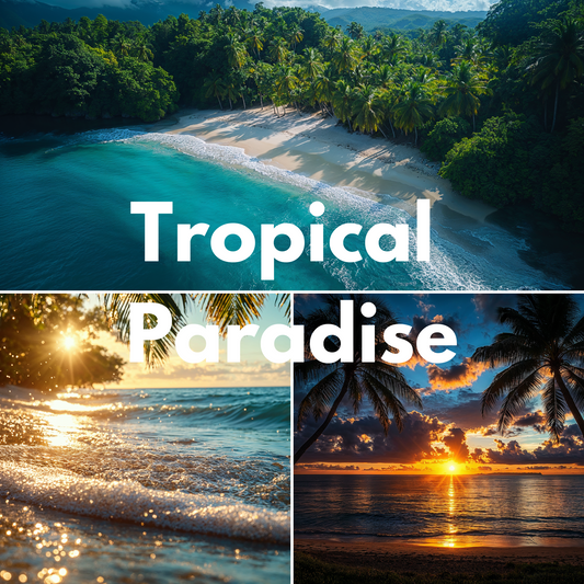 Tropical Paradise Video Pack