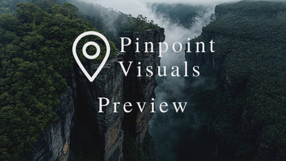 Deep Green Rainforest Video Pack